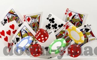森林舞会360-森林舞会360，一场自然与科技的和谐交响曲